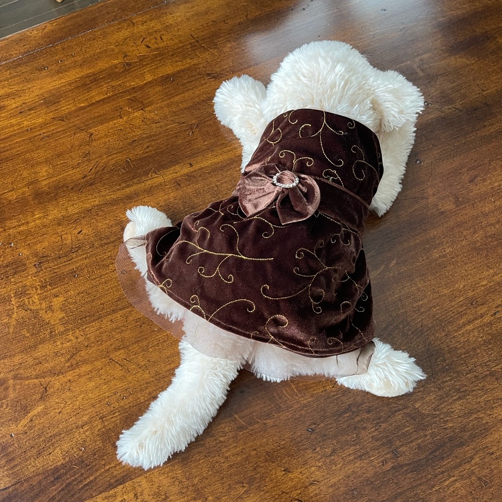 Dog Velour Classic Dress